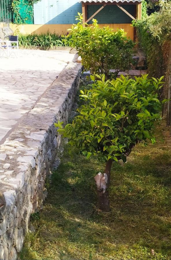 Rez-De-Villa Mougins Exteriér fotografie